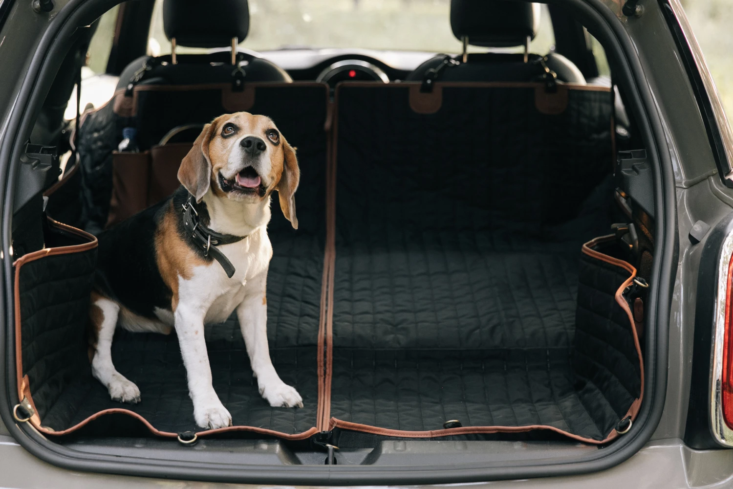 Kia Rio back seat cover for Airedale Terriers