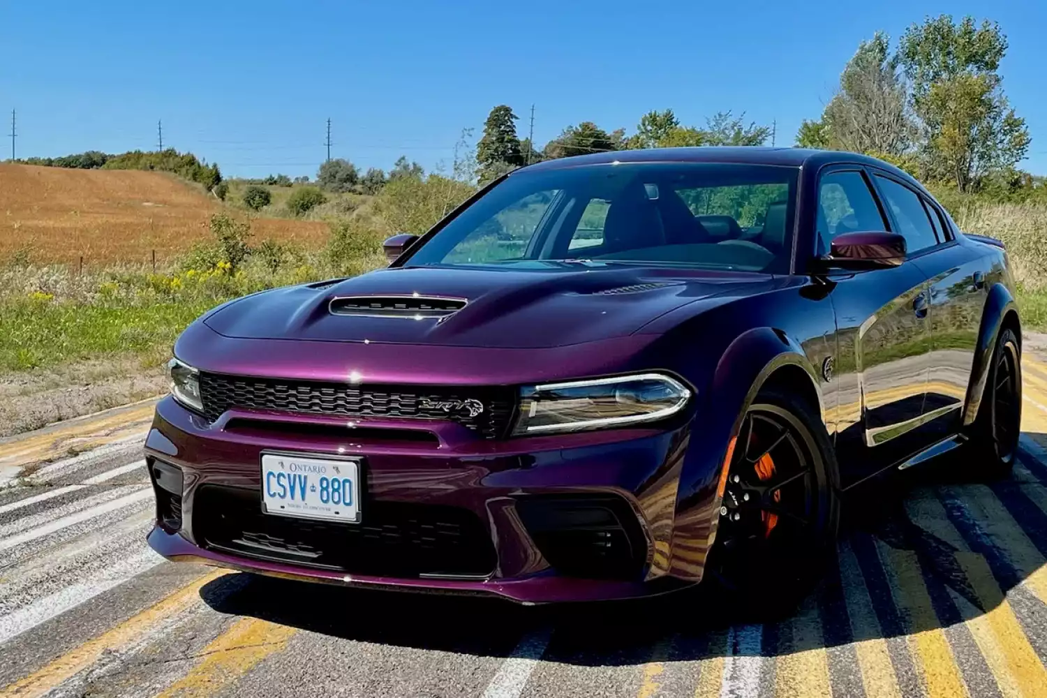 trash containers for Dodge Charger