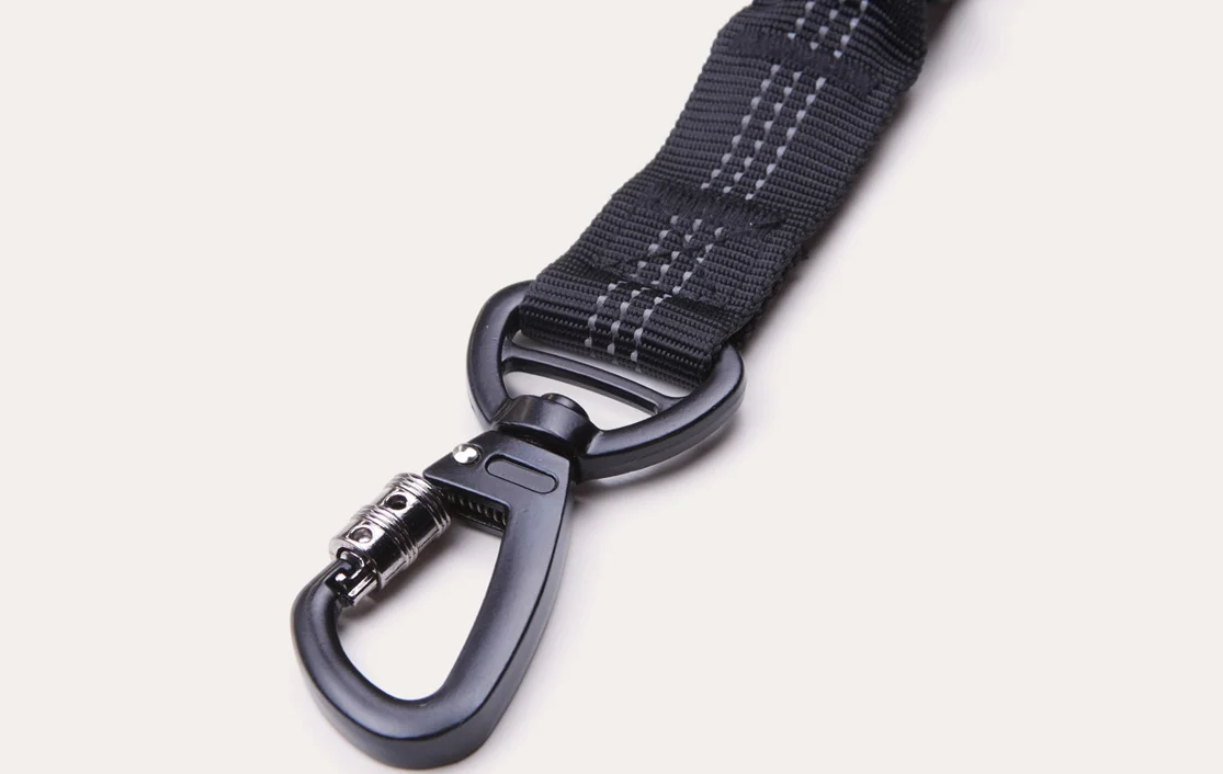 Dachshunds Dog Car Seat Belt for Lexus RX