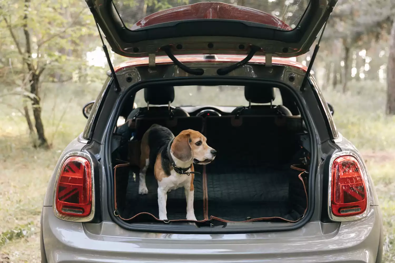 pet seat cover for Toyota Corolla