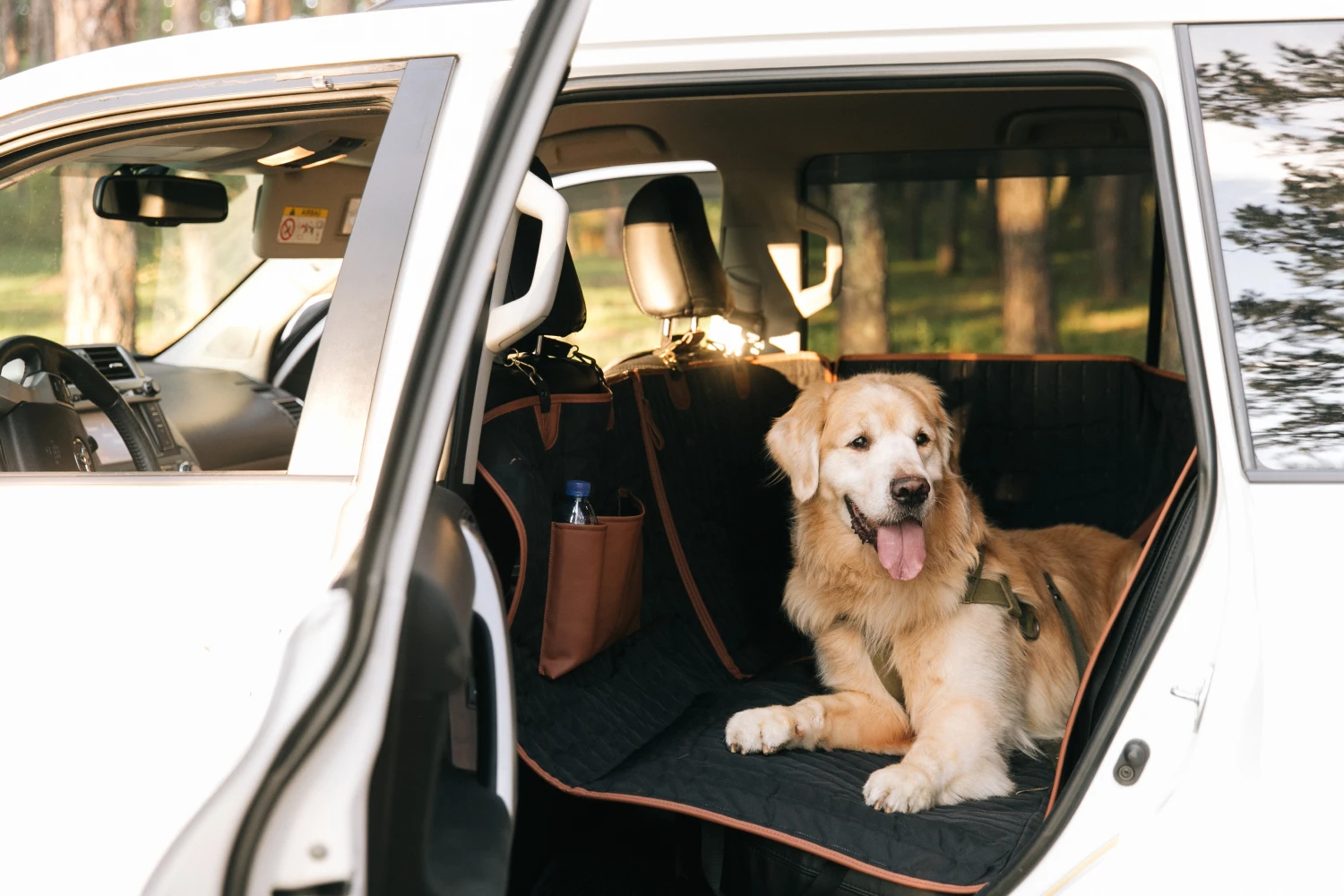 pet seat cover for Dodge Charger