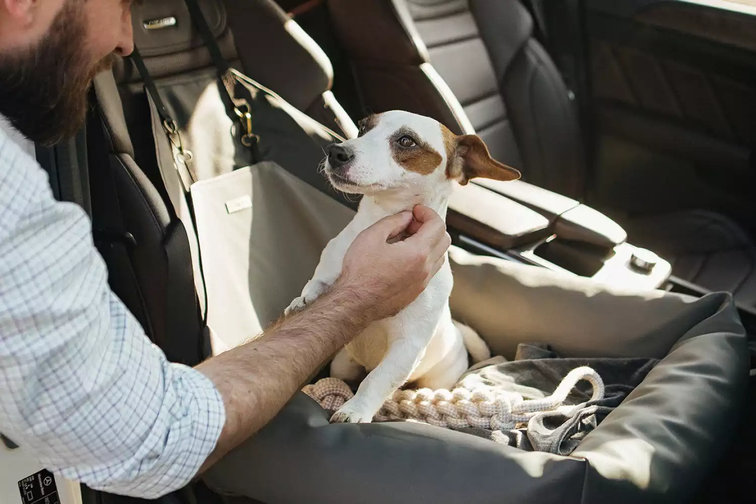 Chevrolet Tahoe Dog Car Seat for Norwegian Lundehunds