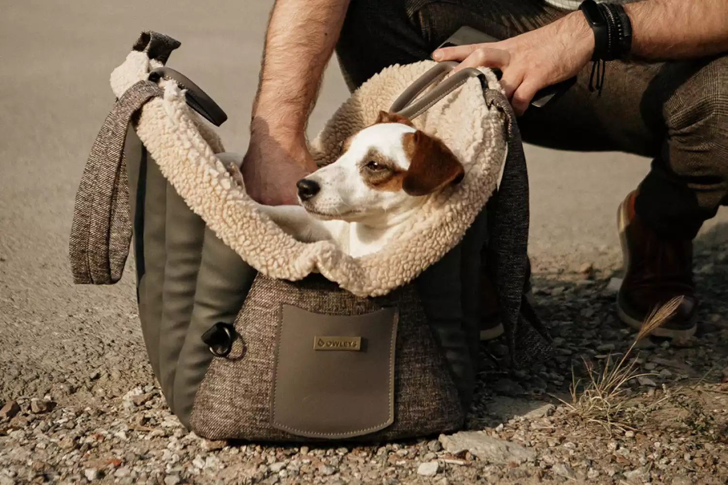 Toyota Corolla Dog Carrier Car Seat for Boston Terrier