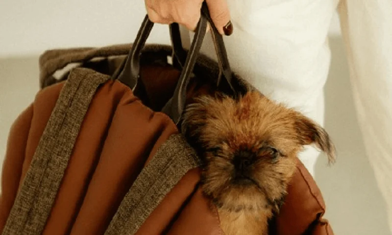 Dog Carrier Purse for Sealyham Terrier