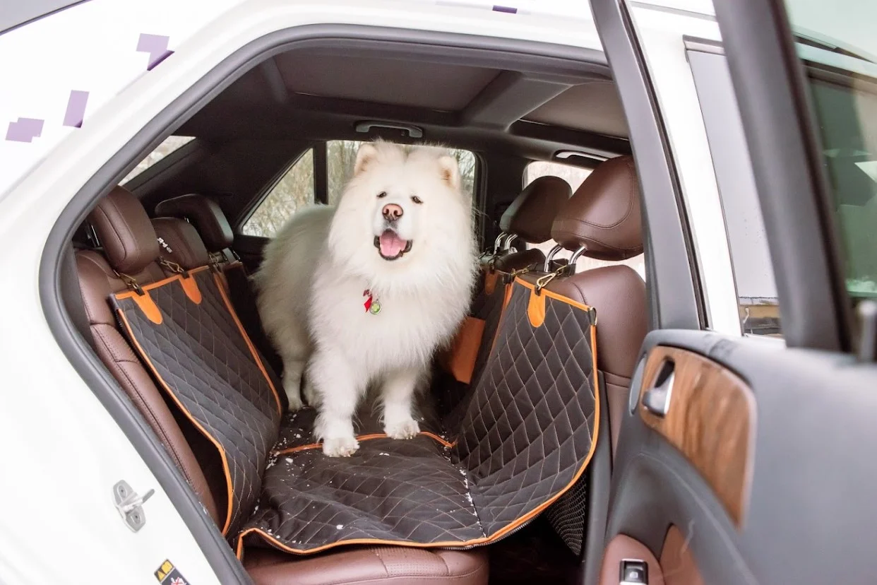 pet seat cover for Ford F-Series