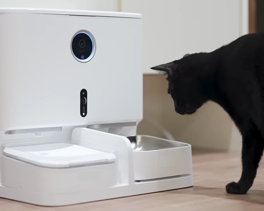 automatic pet feeder bowl